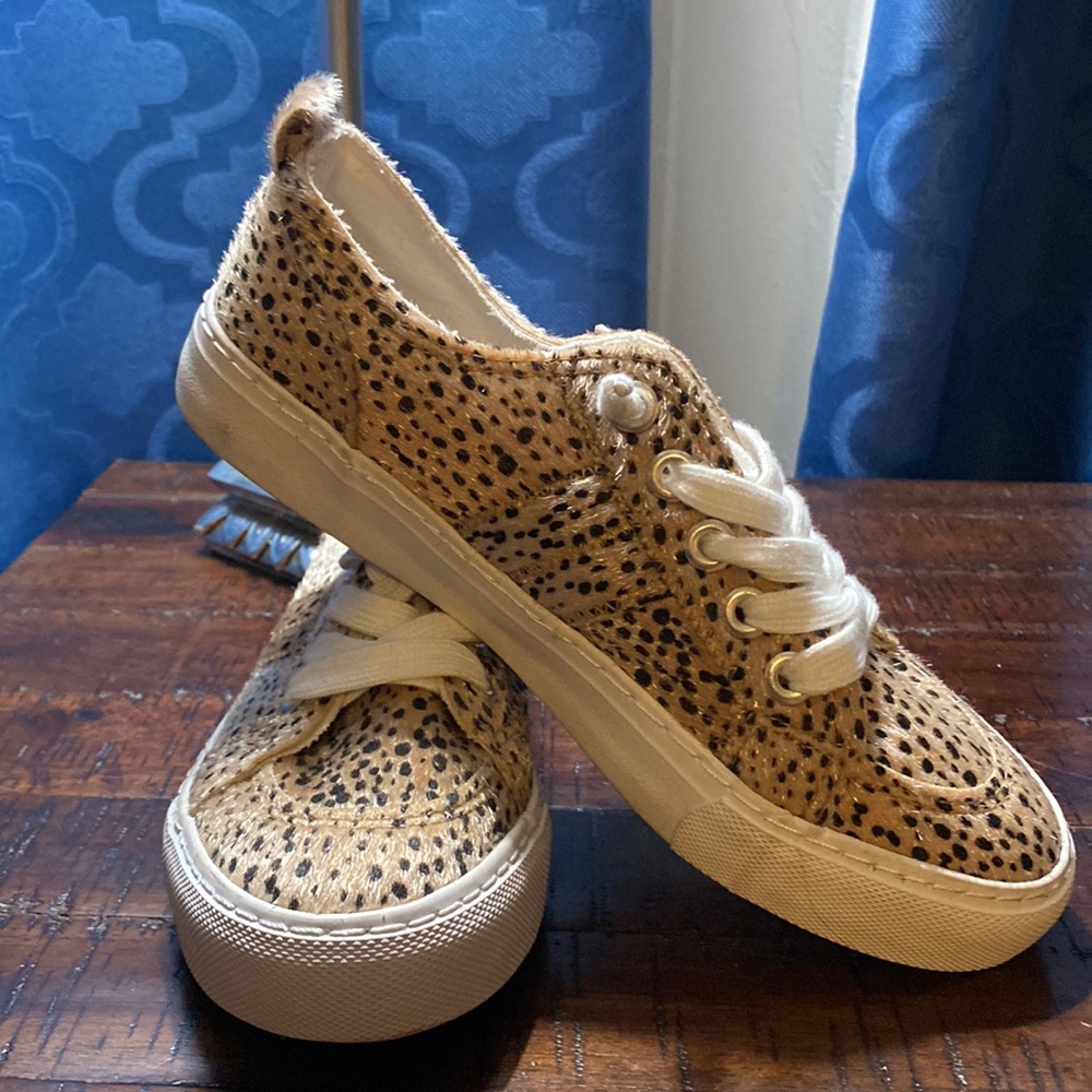 POP COMFORT FIT